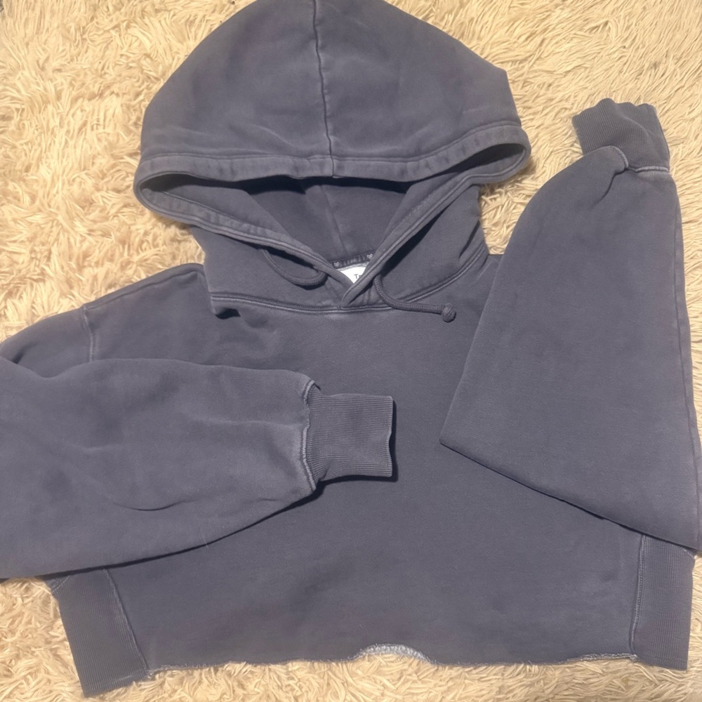 Aritzia TNA Boyfriend Cropped Hoodie